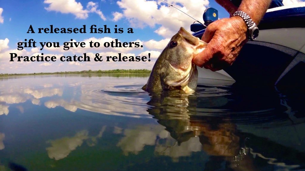 Bill Dance tweet media