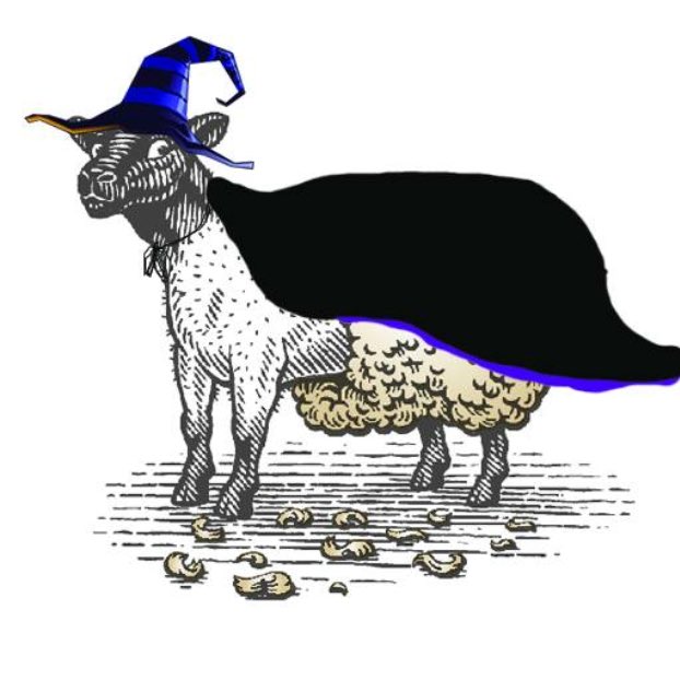 ShornWines's tweet photo. Happy Halloween 👻 what do you think of my costume? #SheepWitch https://t.co/UXtO4dA3Oe