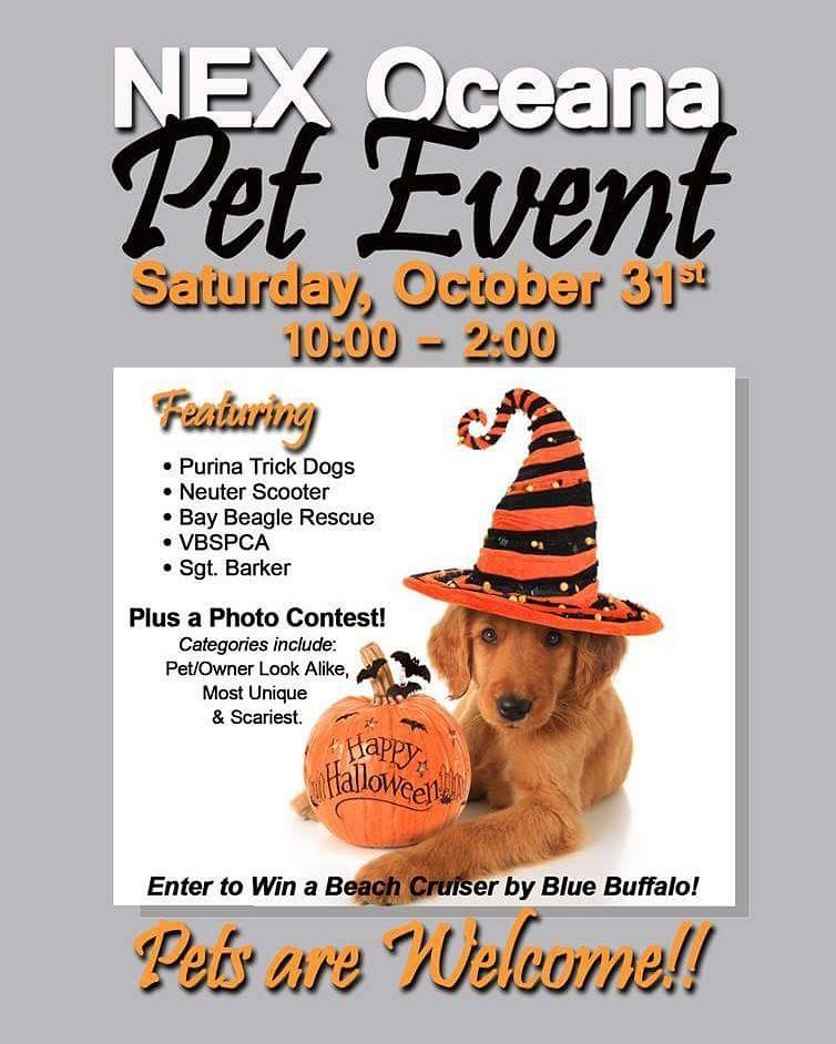 Our adoptable pups are waiting to meet you!