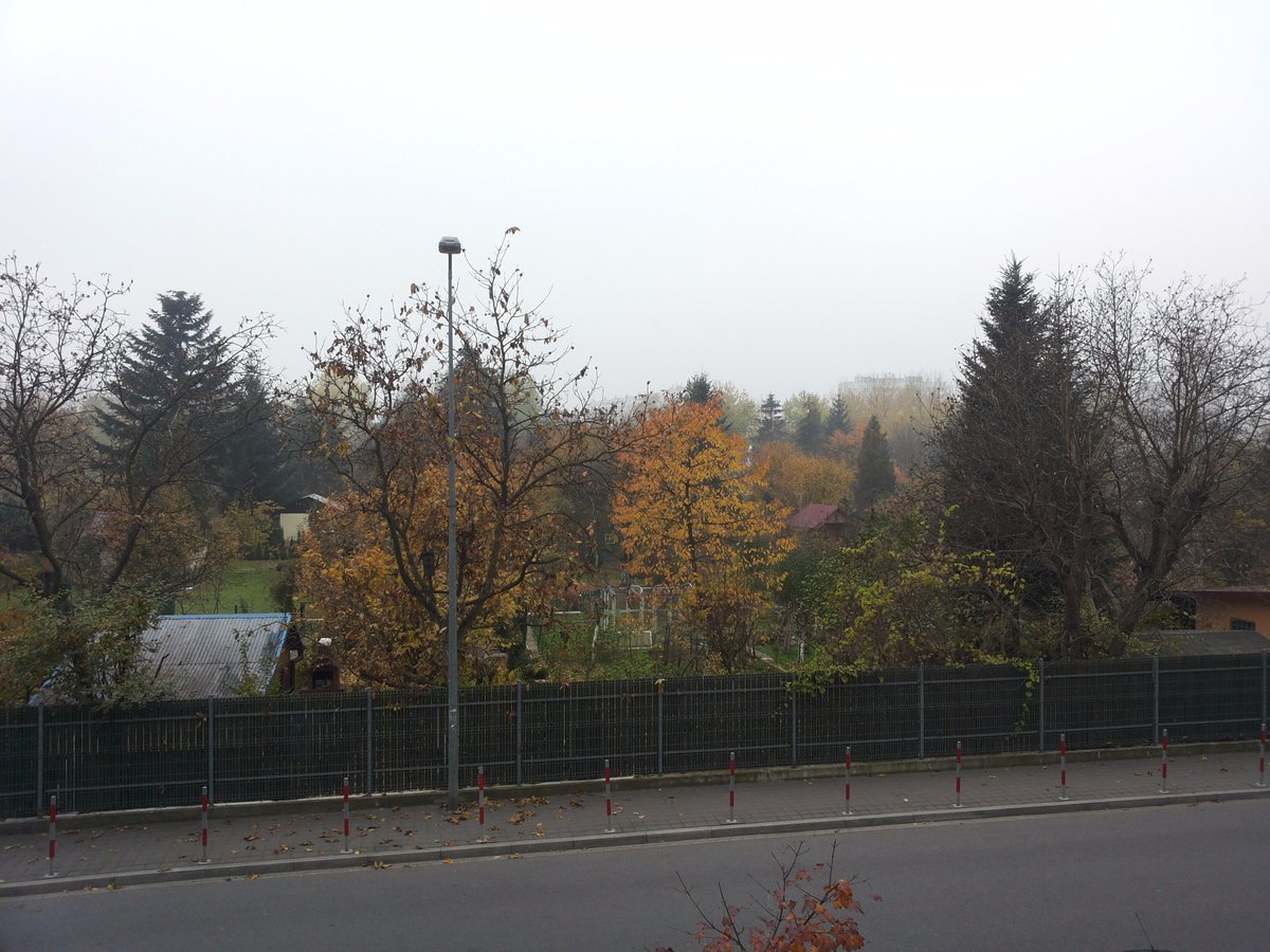_kafex's tweet photo. Poland. October 31th. Sunny autumn day. Meanwhile in Cracow... https://t.co/dlxk5I9RzF