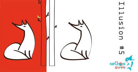 neurongym's tweet image. Focus on the left fox for about 30 seconds ; then focus on the right fox.What do you see? #illusions #Neurongym