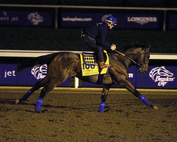 FanDuel_Racing's tweet photo. Retweet if you're excited about American Pharoah's attempt at the @BreedersCup Classic! PHOTO: @CoadyPhoto #BConTVG https://t.co/vrMRp3KR9h