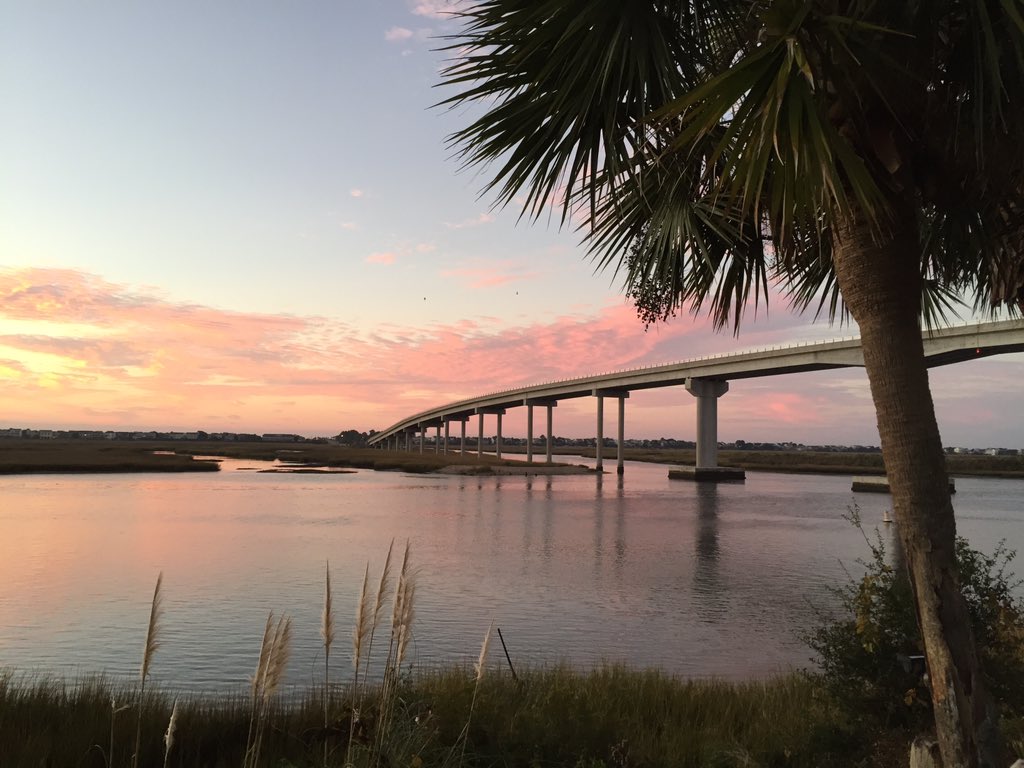 SunsetBeachTradingCo tweet media