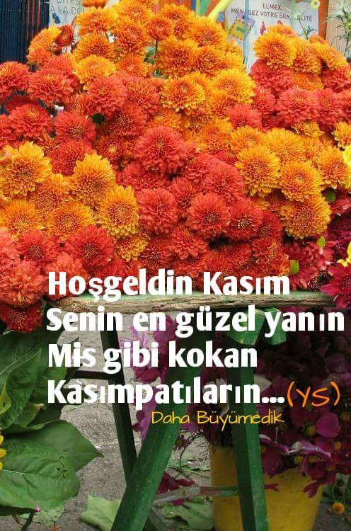 _aracli_'s tweet photo. https://t.co/HLo0wm98wD