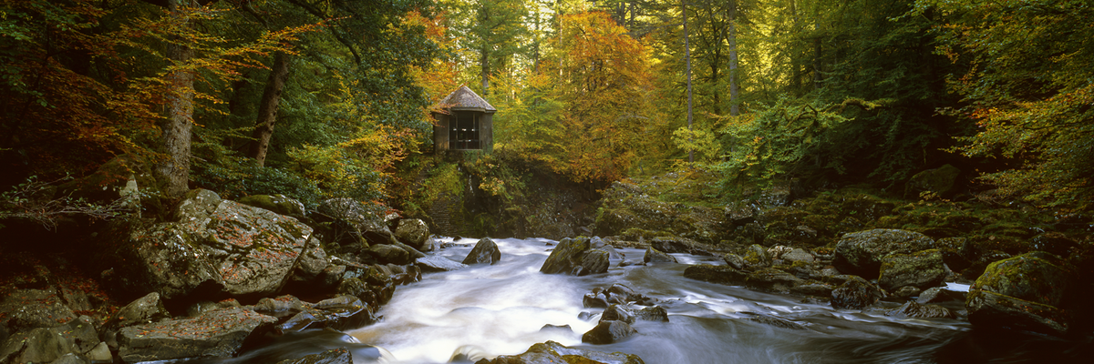 MShannonPhoto's tweet photo. Ossian's Hall, The Hermitage, Dunkeld - owned by @N_T_S 
A truly beautiful place.
@Fujifilm_UK GX617 &amp; Velvia 50 https://t.co/fms4rZVsxZ