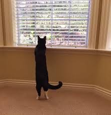 Keeping an eye out for ghosts and goblins