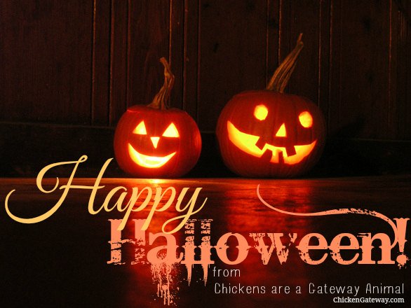 ChickenGateway tweet picture