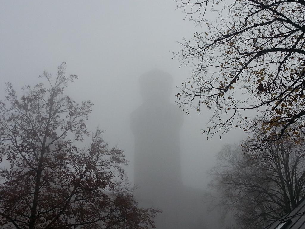 Jul_Kaufmann's tweet photo. #Neuschwanstein lässt sich nur erahnen. Ausflug mit den #MEEP-Teilnehmern aus Peking, Shanghai und Guangzhou https://t.co/IwQRVBrwGf