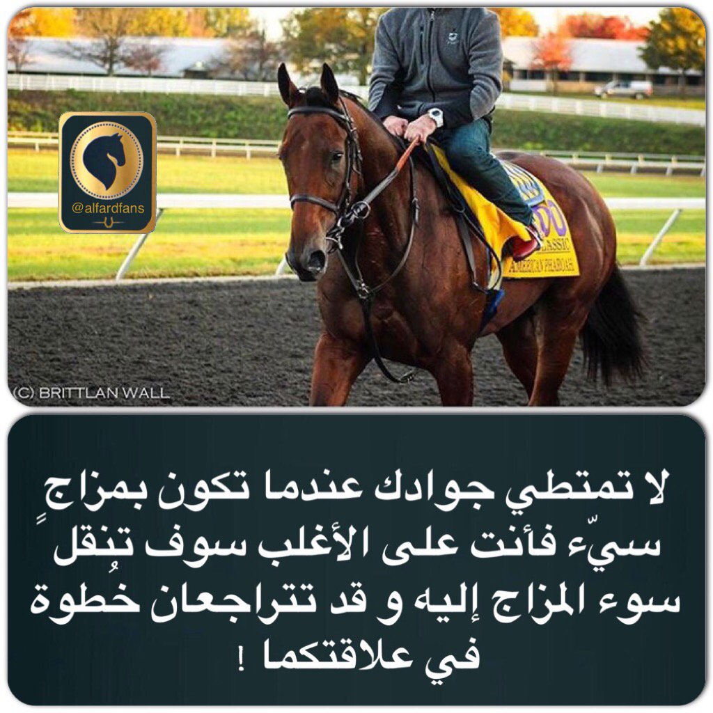 alfardfans's tweet photo. لا تمتطي جوادك عندما تكون بمزاجٍ سيّء فأنت على الأغلب سوف تنقل سوء المزاج إليه و قد تتراجعان خُطوة في علاقتكما ! https://t.co/Nn2WoWO6lU
