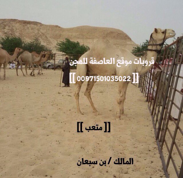 hajasn's tweet photo. متعب بن سبعان https://t.co/BurVpCjY93