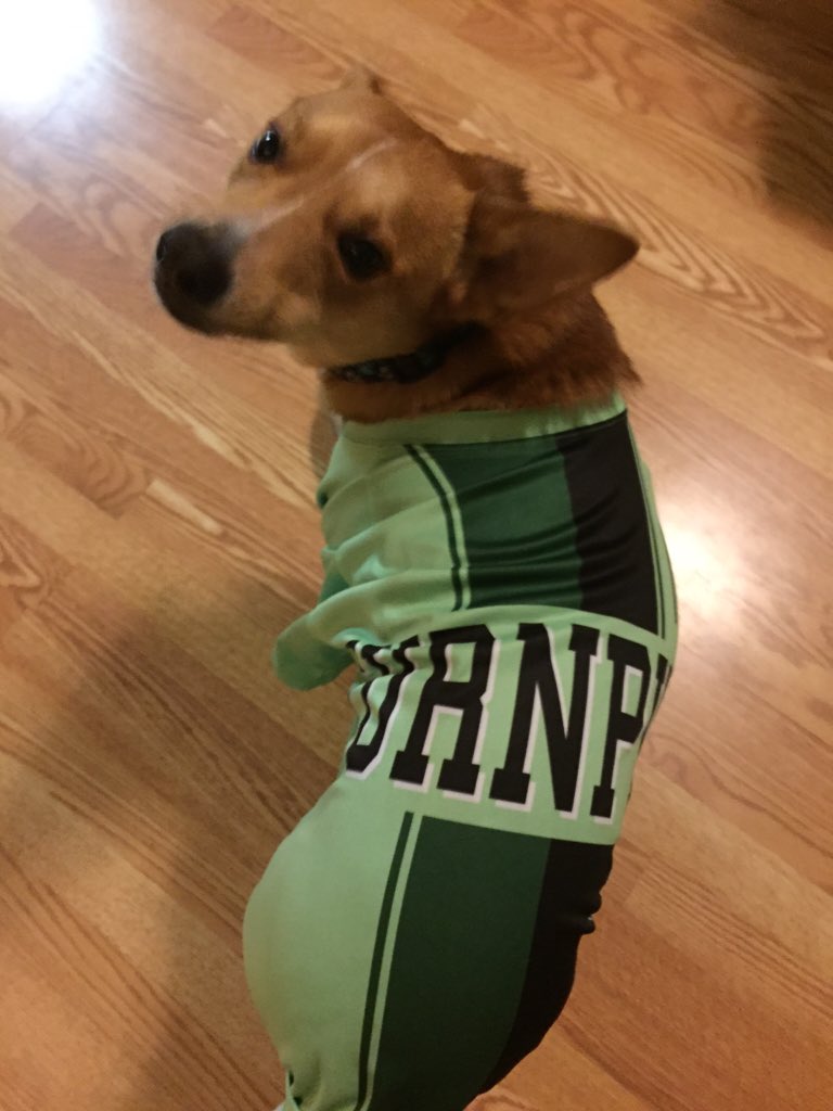 TeamTurnpikeLax's tweet photo. Dressed &amp; Ready to #trickortreat TP on the loose in a neighborhood near you!! #GetSomeTurnpike #halloween2015 #candy https://t.co/sPsy9zR97l