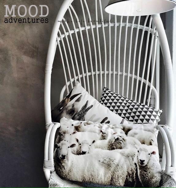 Ardinedien's tweet photo. Duimen duimen voor die gave hangstoel!!! @Moodadventures #moodadventures https://t.co/RAv4wDMd2i