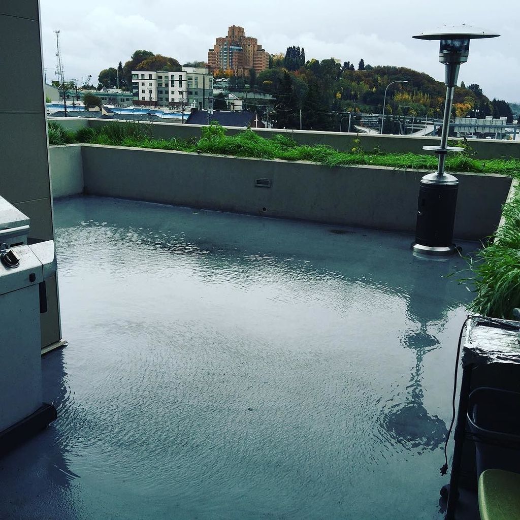 isola7e's tweet photo. Awwww schnapps!! Got a pool on my deck!! #seattle #rain #flood https://t.co/UqnKCo1UQf https://t.co/MEbSrsVGL4