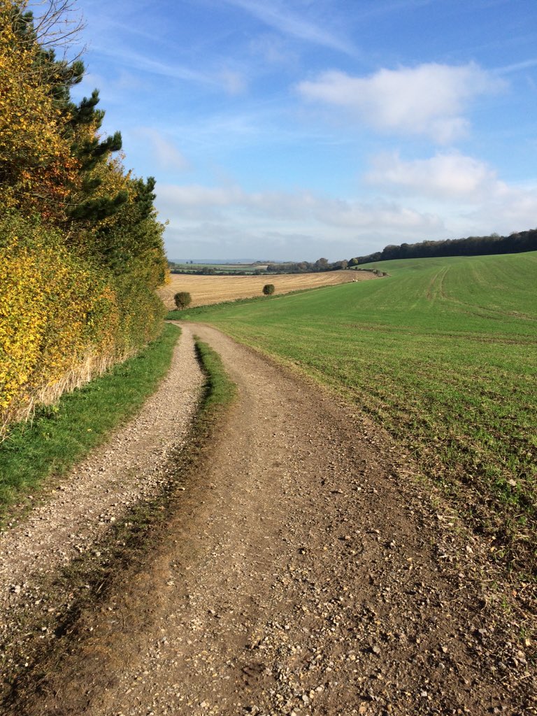TREATmyHOUND's tweet photo. Out and about enjoying the October sun! X https://t.co/vva8Z2cfUf
