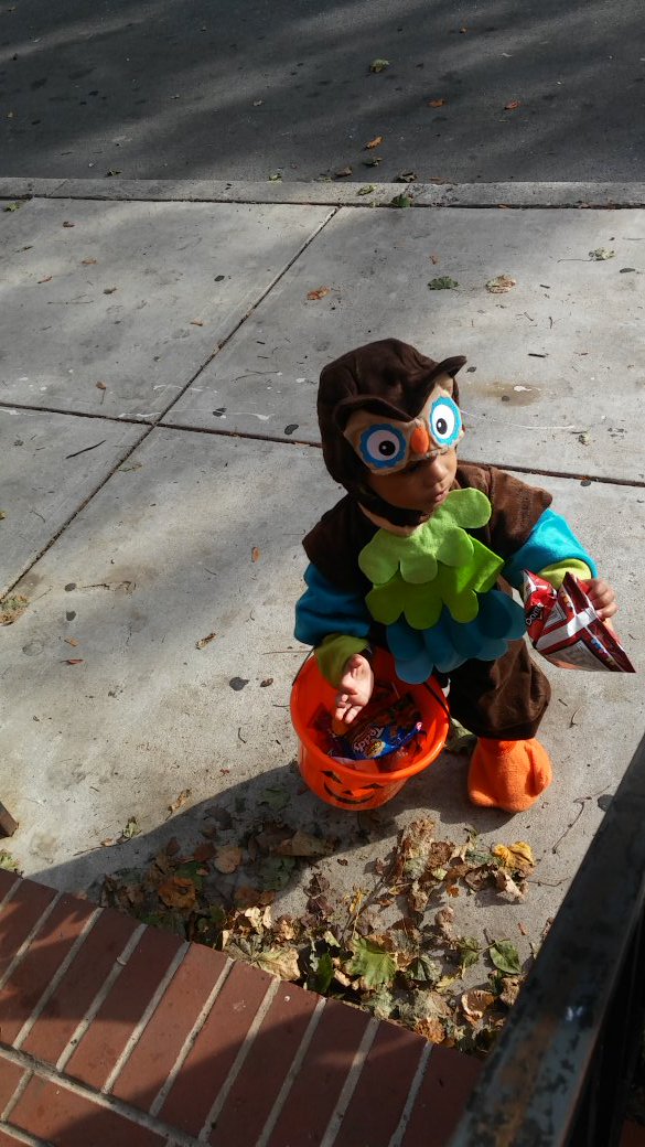 KennieKashbby's tweet photo. It My Boy (SON) Happy π Halloweenβ From The Cutest Owl Alive #LilRell https://t.co/BLA3UXkdAo