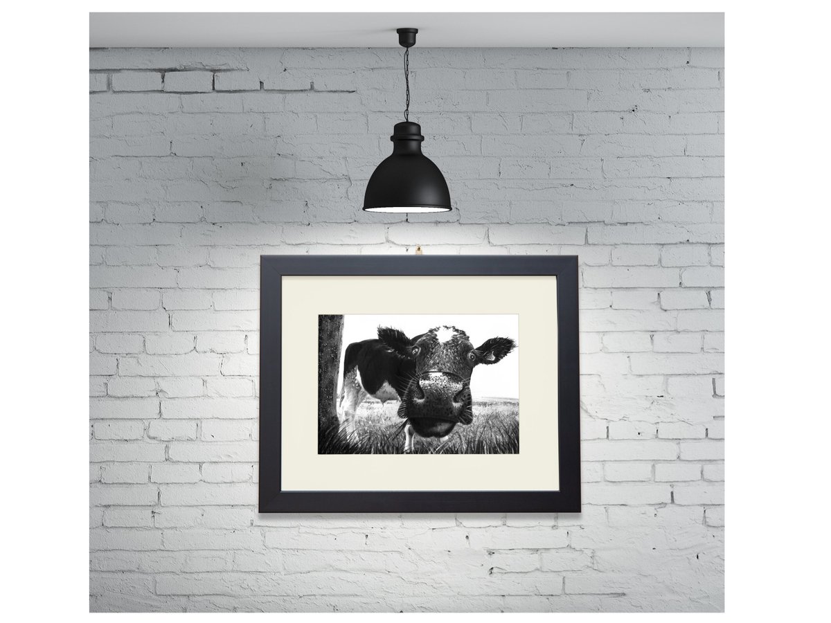 The Irish Workshop tweet media