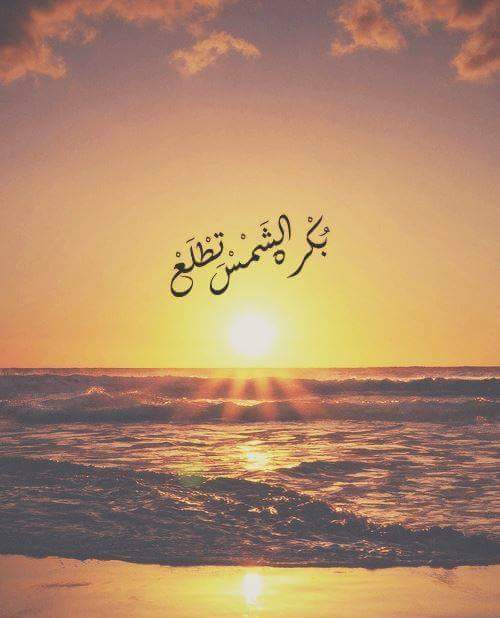 Hadeel Faidi (@hadeelfaidi) on Twitter photo 