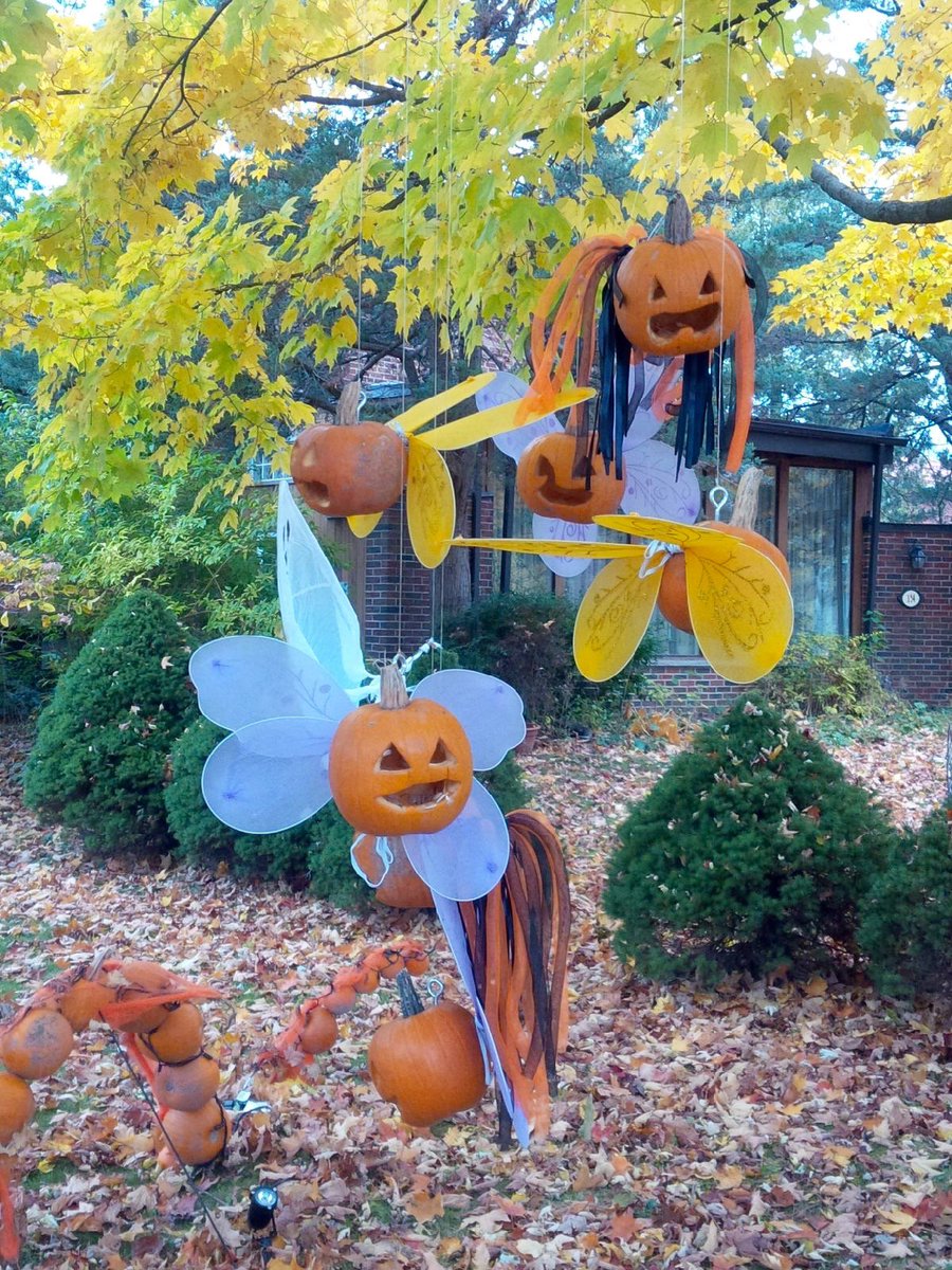 ShawnyJeann's tweet photo. There's a pumpkin fairy down, but the rest of his buddies are still waiting to party in #etoboocoke for #Halloween! https://t.co/dg7z4NLciH