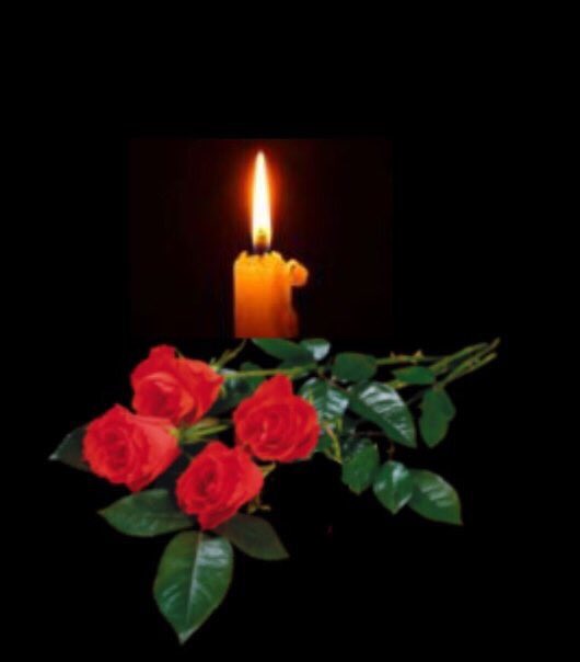 Глубокие соболезнования хочу выразить родственникам погибших в этой страшной авиакатастрофе...