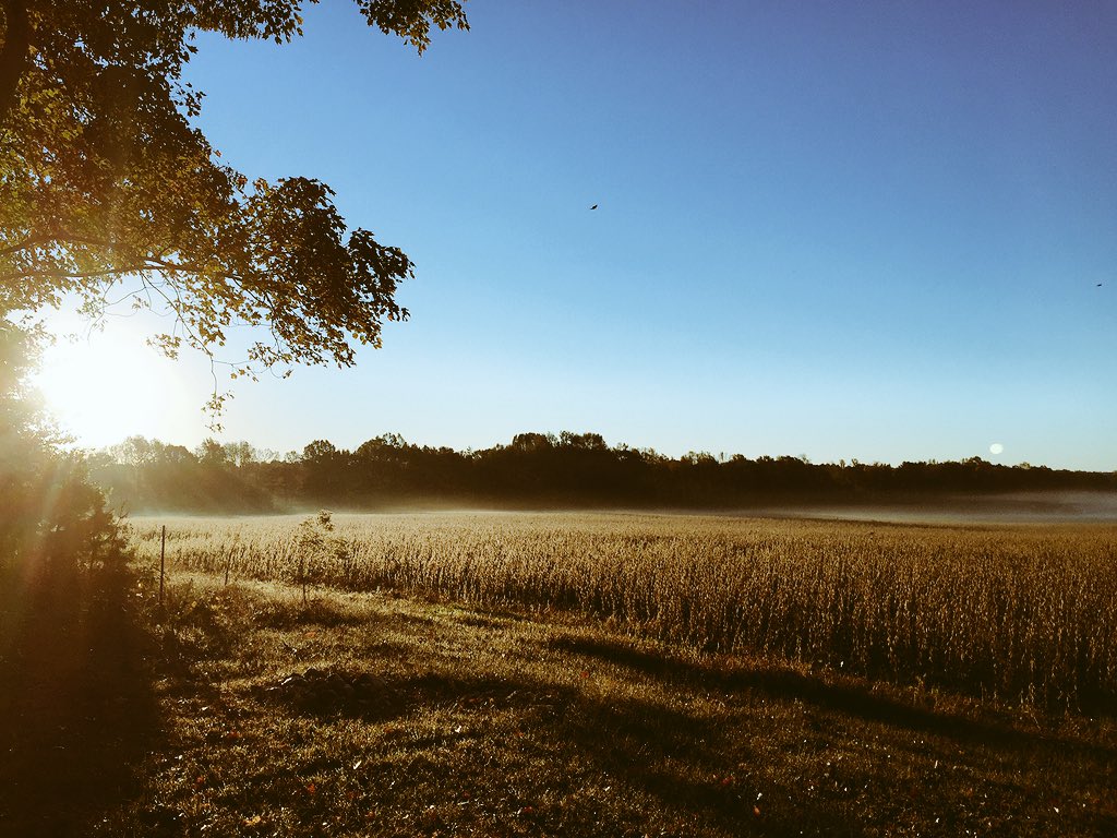 twostategirl's tweet photo. Fall on fire #AutumnIn3Words #NikonFallNC #iphonography #fallphotos #autumn https://t.co/Leut2bWe2G