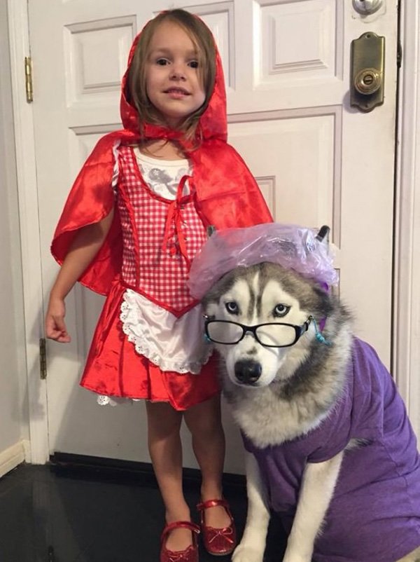 HBudapets's tweet photo. Happy Halloween! https://t.co/SAjWNs8it0