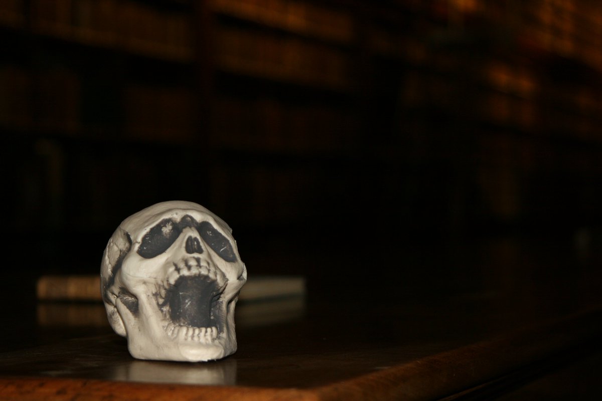 BMDijonPat's tweet photo. Tic, tac...#Halloween is coming, librarians are turning into monsters... #MusHalloween #Museopeur
RDV ce soir ! https://t.co/IVdicA9BoW