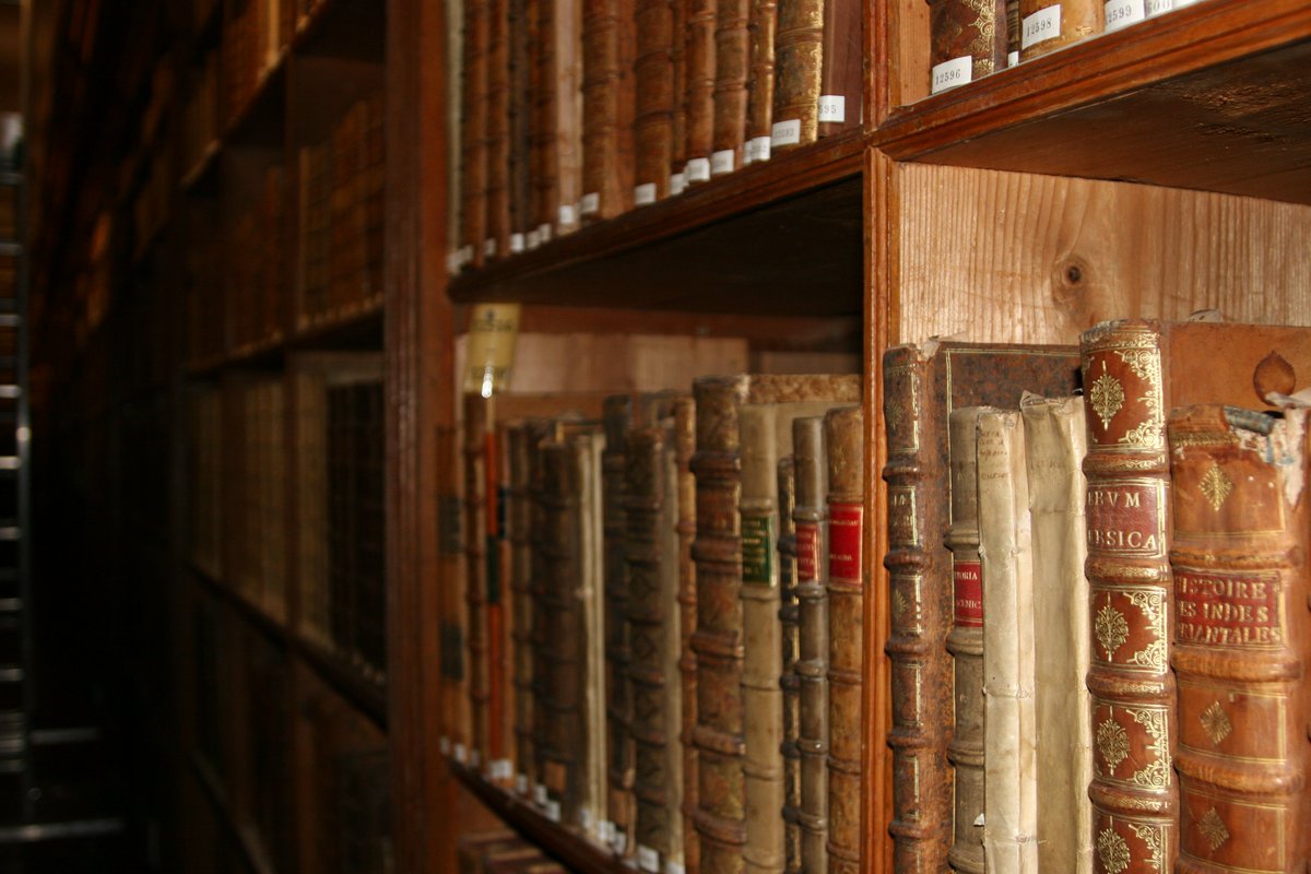 BMDijonPat's tweet photo. Tic, tac...#Halloween is coming, librarians are turning into monsters... #MusHalloween #Museopeur
RDV ce soir ! https://t.co/IVdicA9BoW