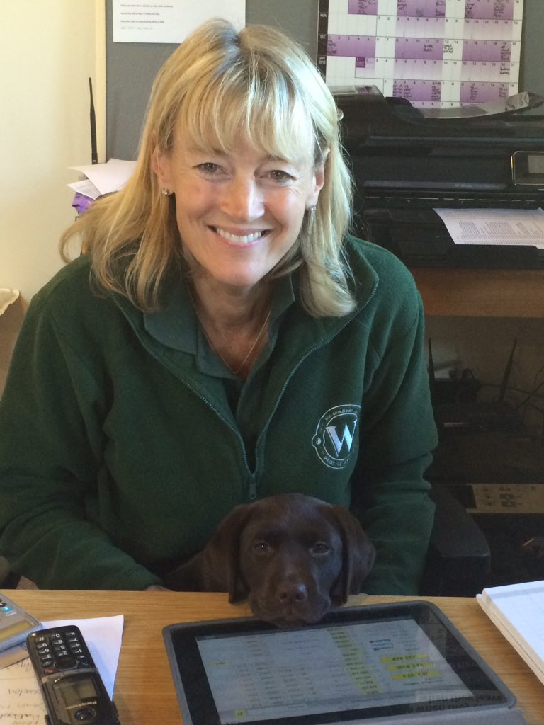 lewtrenchard labradors