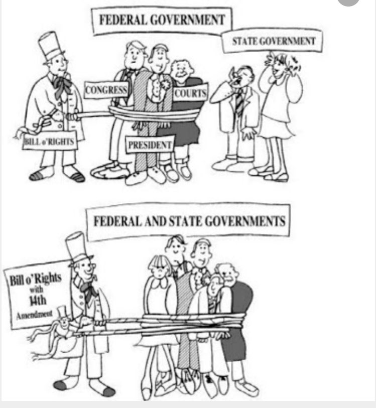 state and federal government cartoon
