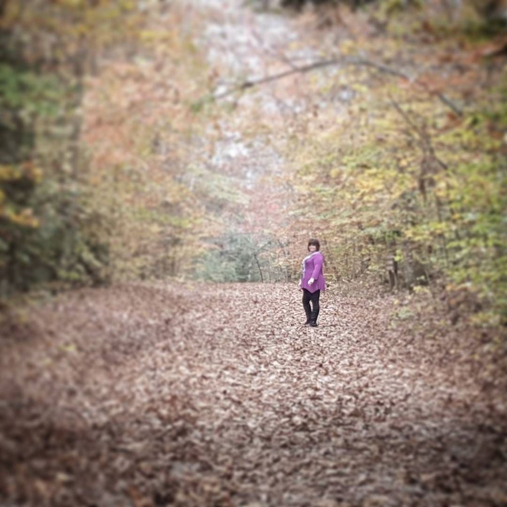 ChrisAllenSkywx's tweet photo. My pretty babe amongst the fall color. Burgess Falls State Park #tennessee #scenery #fallc… https://t.co/X6BNLy0Z2G https://t.co/46x1acD7Hl