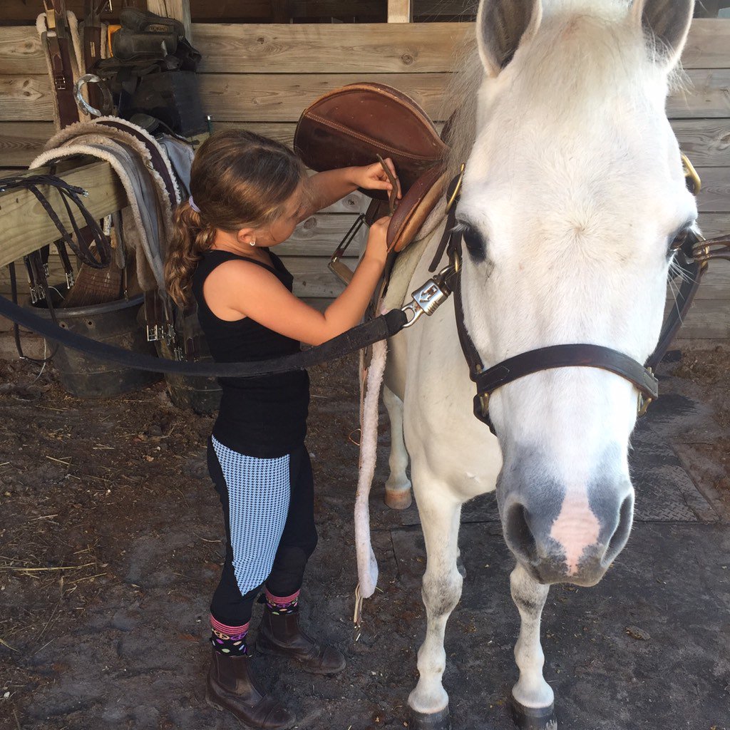 Stable Angel tweet media