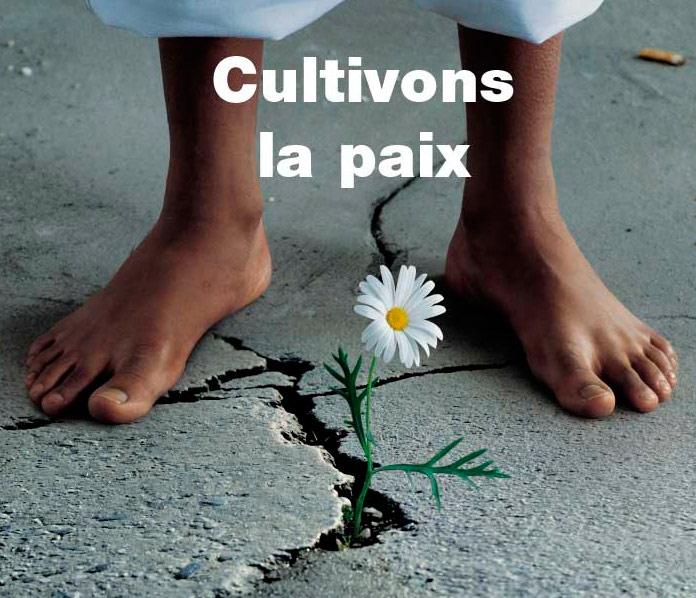 RamatoulayeYaye's tweet photo. Luttons pour la #Paix  cher jeune car ns smes seul à pouvoir la cultiver ensembl ns y arriveront.@SFCG_NIGER #PDEVll https://t.co/E8L7fdvQAq