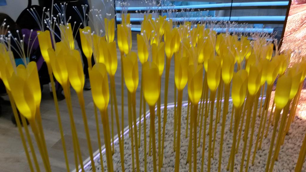 ketyvettori's tweet photo. Padiglioni  rivelazione @Expo2015Milano @moroccoexpo2015 @ExpoAngola2015 @EXPO2015Korea @azerpavilion @AskExpo https://t.co/LDiy1GyxHQ