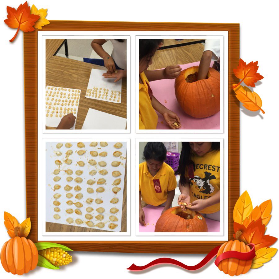 PinecrestSOARS's tweet photo. Mrs. Blasucci's 3rd graders are using pumpkin seeds to make arrays in math! #fallmath @collierschools https://t.co/ogrrmjcriX