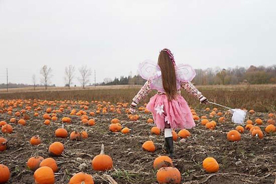 GothamProductns's tweet photo. #HappyHalloween! #production #artdirection for ©Masterfile/Radius Images #photoshoot #fairy #princess #pumpkins #fun https://t.co/vJWGA4hyJy