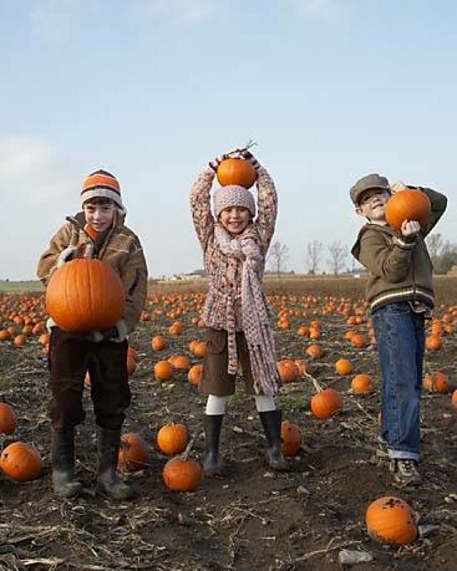 GothamProductns's tweet photo. #HappyHalloween! #production #artdirection for ©Masterfile/Radius Images. #photoshoot #pumpkins #friends #halloween https://t.co/x62PJnComT