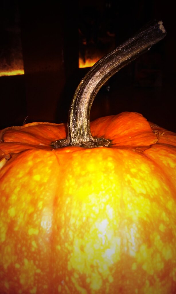 Cerveza LapsusBrutus (@_lapsus_brutus) on Twitter photo 