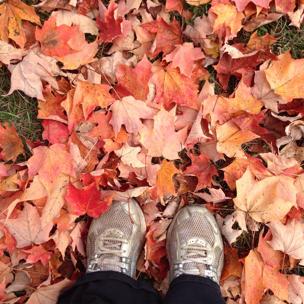 🍁🍃🍂 I 💚 Fall!  #nature #828isgreat