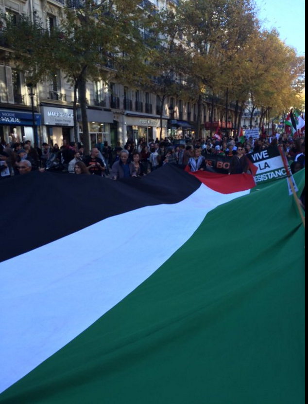 jeremo12's tweet photo. A la #MarcheDeLaDignite le drapeau palestinien a remplacé la bannière tricolore. J'ai honte. https://t.co/C0CMQvWMtZ