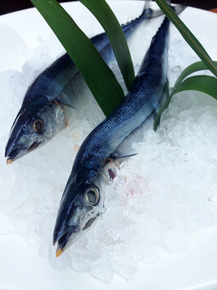 JaBistro222's tweet photo. #jabistro SP @jabistro222: today's special sushi, autumn freshness 'sanma' pacific saury, japan #sashimi #foodie https://t.co/r2n36U929n