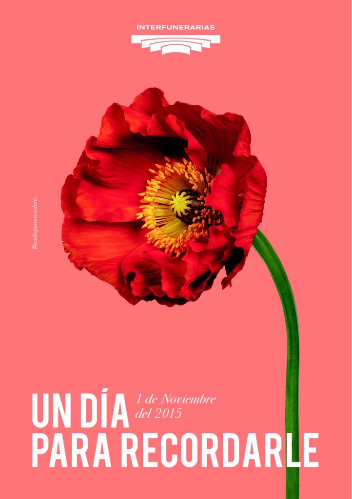 LauraElenaRadio's tweet photo. RT Todo listo pr mañana #Undíapararecordarle #Interfunerarias #DiaDeTodosLosSantos #LaHoraMagica642 @JuanfraEscudero https://t.co/K0WjIURb7o