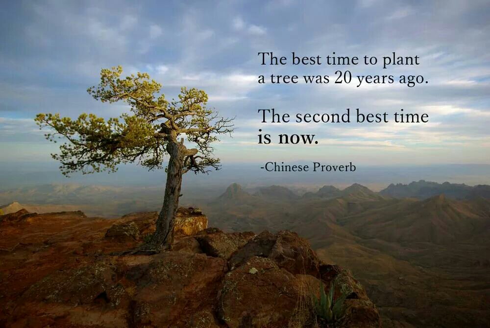 Proverbio chino El mejor momento para plantar un #arbol era hace 2