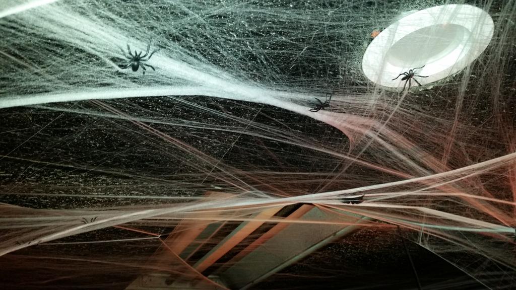 M1M1status's tweet photo. #igfits #nevergoout #hadfunwithfriends #finally #spiders @devastation79 @realdaveachein https://t.co/r0GyaLpOO3