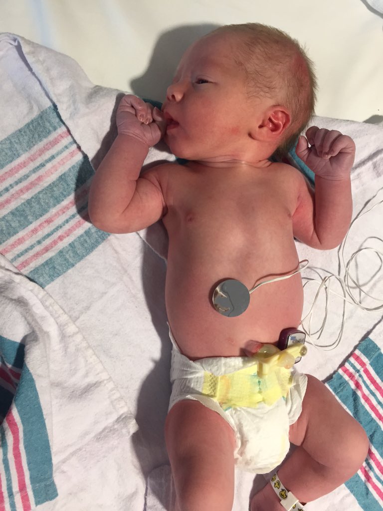 pastorjesseck's tweet photo. @BearDovesLB Witten say he doesn't care the score, the Fighting Dove are the best! #babyTDarms https://t.co/yPV1ZznKsd