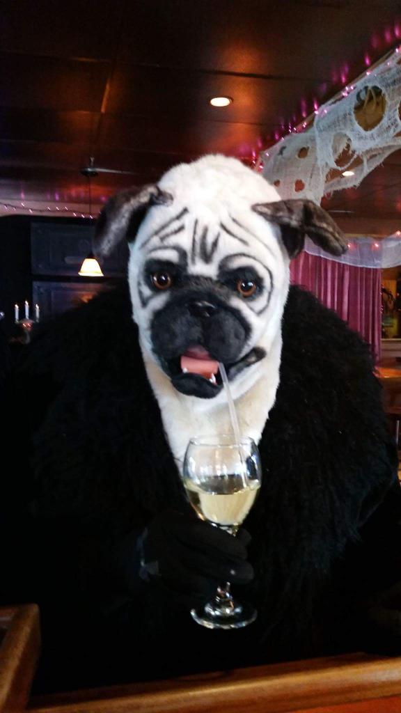 Carl Mckay-Stratton (@cbmjr2) | Twitter