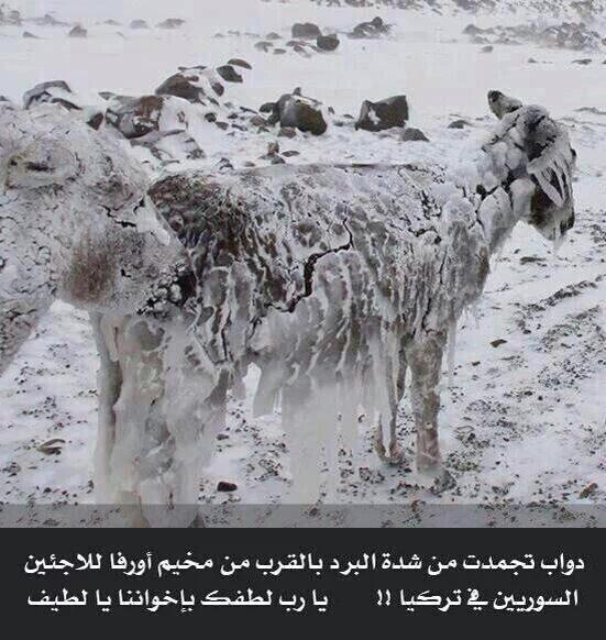 simoflow68's tweet image. 