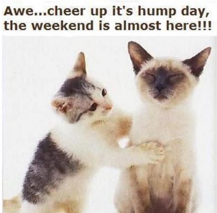 AllDirectIns tweet picture