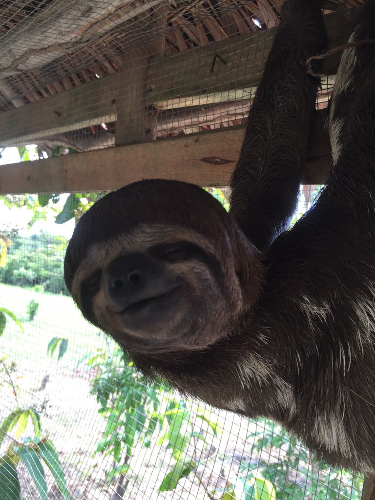 stuart17820932's tweet photo. #AmazonRow2015 getting to know the locals - SM https://t.co/sQ2fsPCZCh