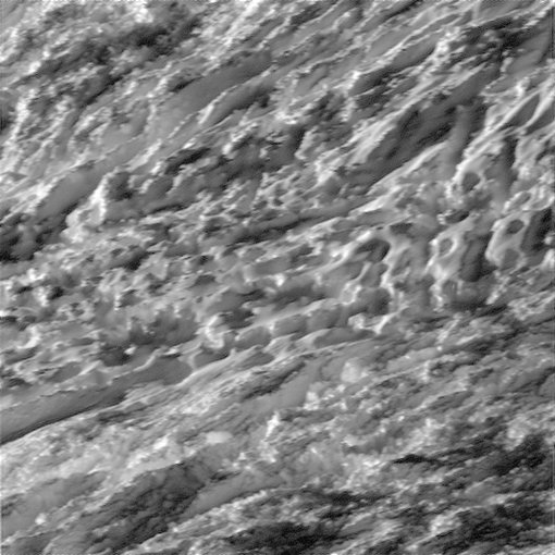 NASA tweet media