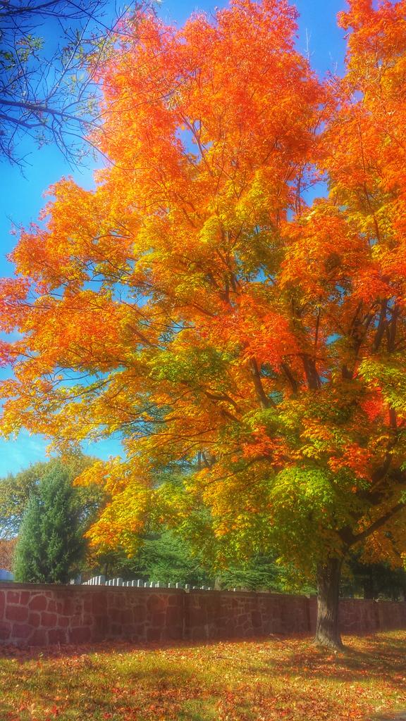 emily_schmieg's tweet photo. #Halloween run by Arlington National Cemetery @RunnerBliss https://t.co/LrbW2X1X71